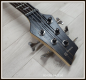 Preview: Sandberg Custom 5 Yolanda Charles, Open Pore Brownburst, Signature